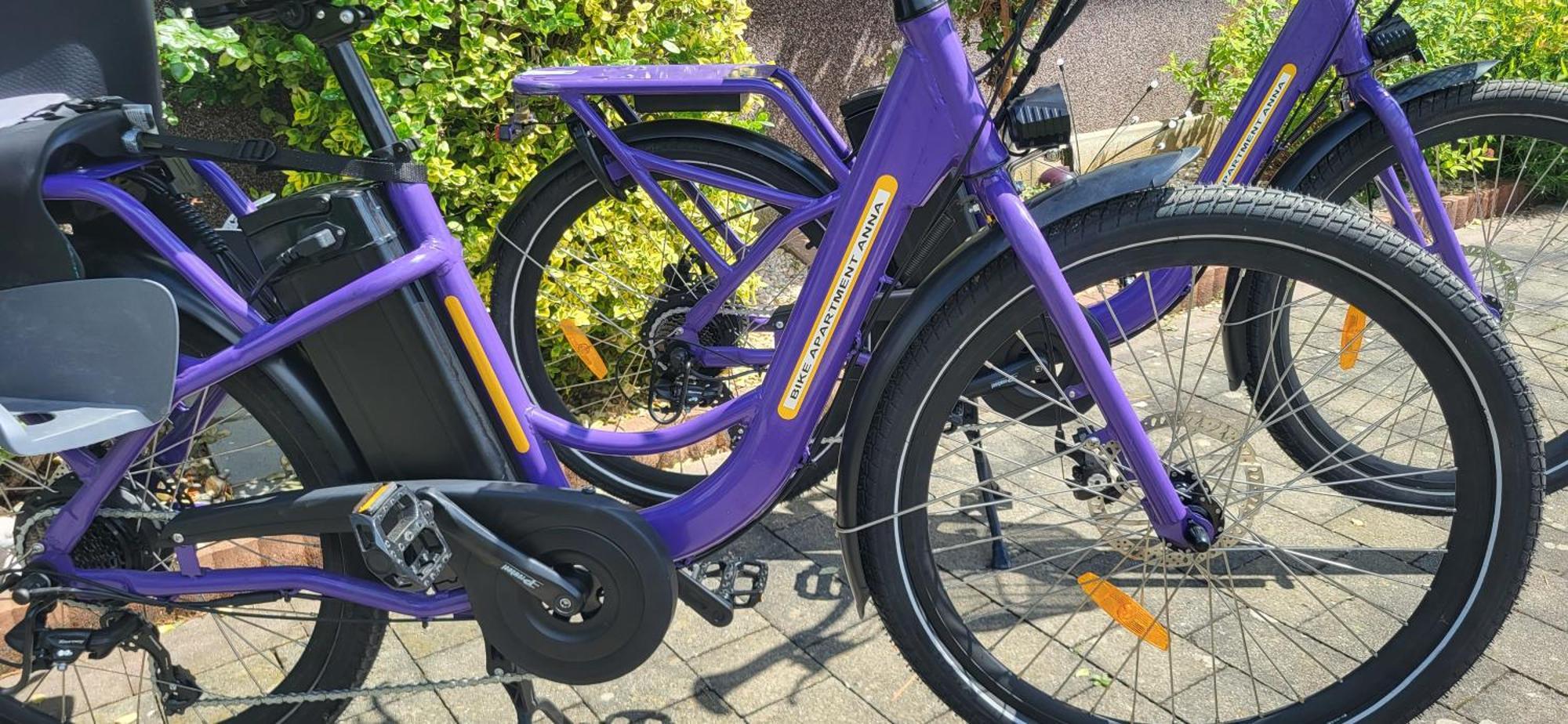 Zwei Schlafzimmer Ferienapartment Anna Am Stubenbergsee Inklusive Vier E-Bikes 外观 照片