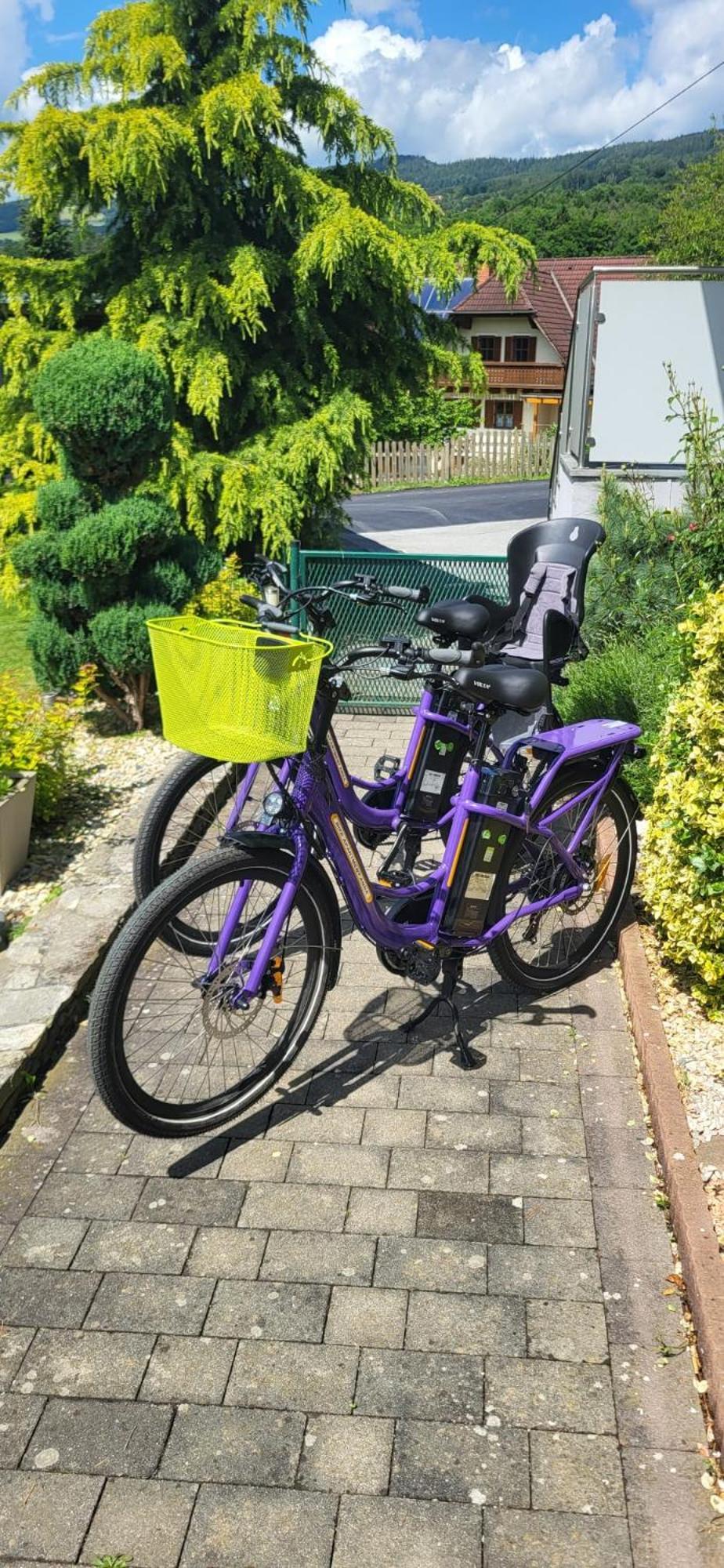 Zwei Schlafzimmer Ferienapartment Anna Am Stubenbergsee Inklusive Vier E-Bikes 外观 照片