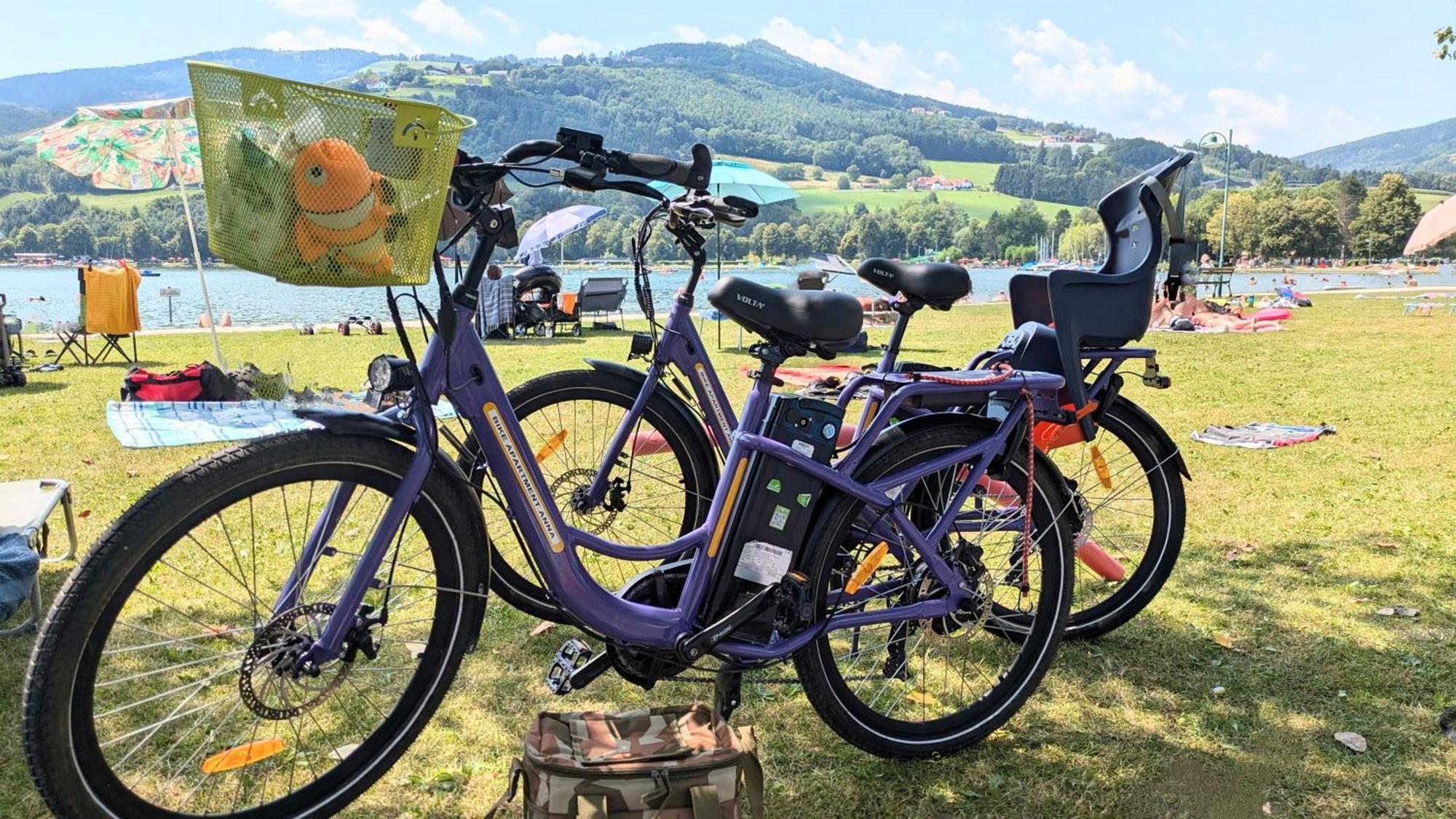 Zwei Schlafzimmer Ferienapartment Anna Am Stubenbergsee Inklusive Vier E-Bikes 外观 照片